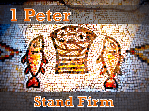 Stand Firm: 1 Peter