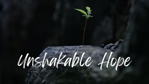 Death And Unshakable Christian Hope Image